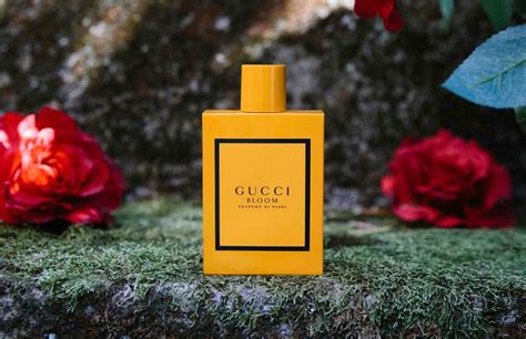 profumo gucci black|is gucci bloom good.